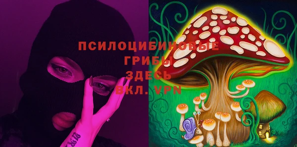 дмт Балахна